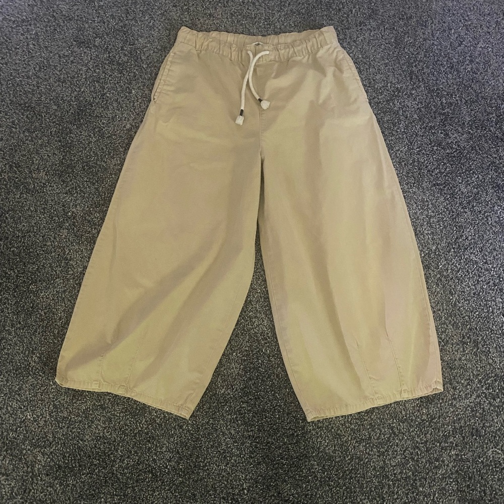 Zara Wide Leg Barrel Pants